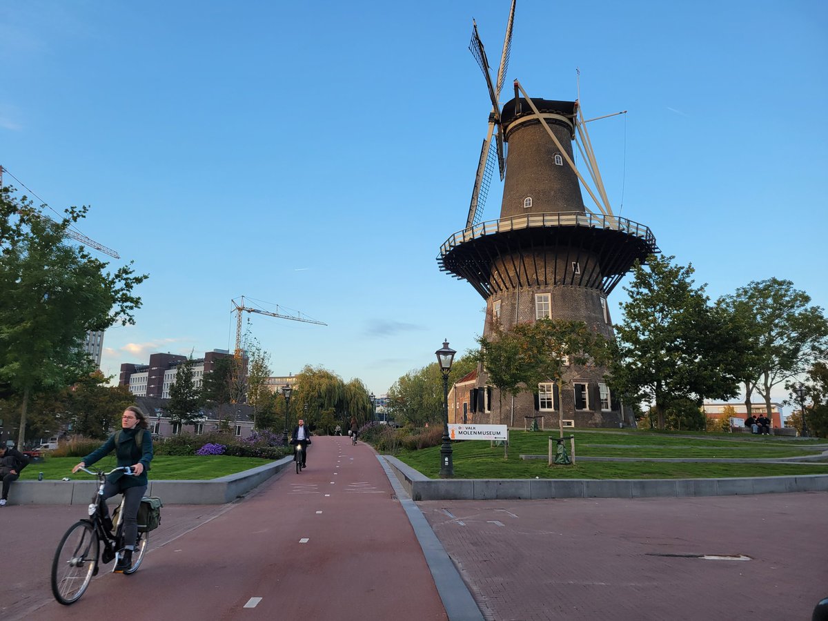 Cobi Frongillo tweet media