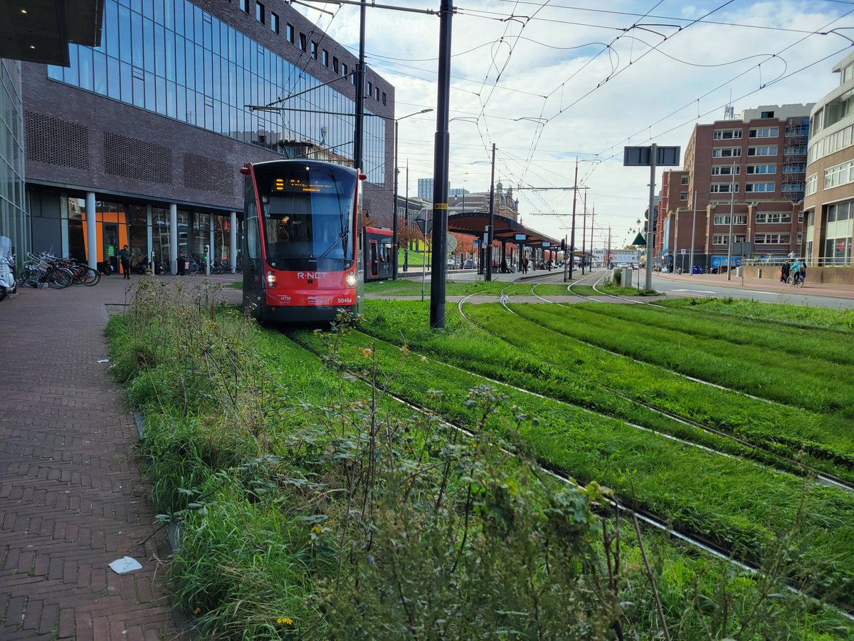 Cobi Frongillo tweet media