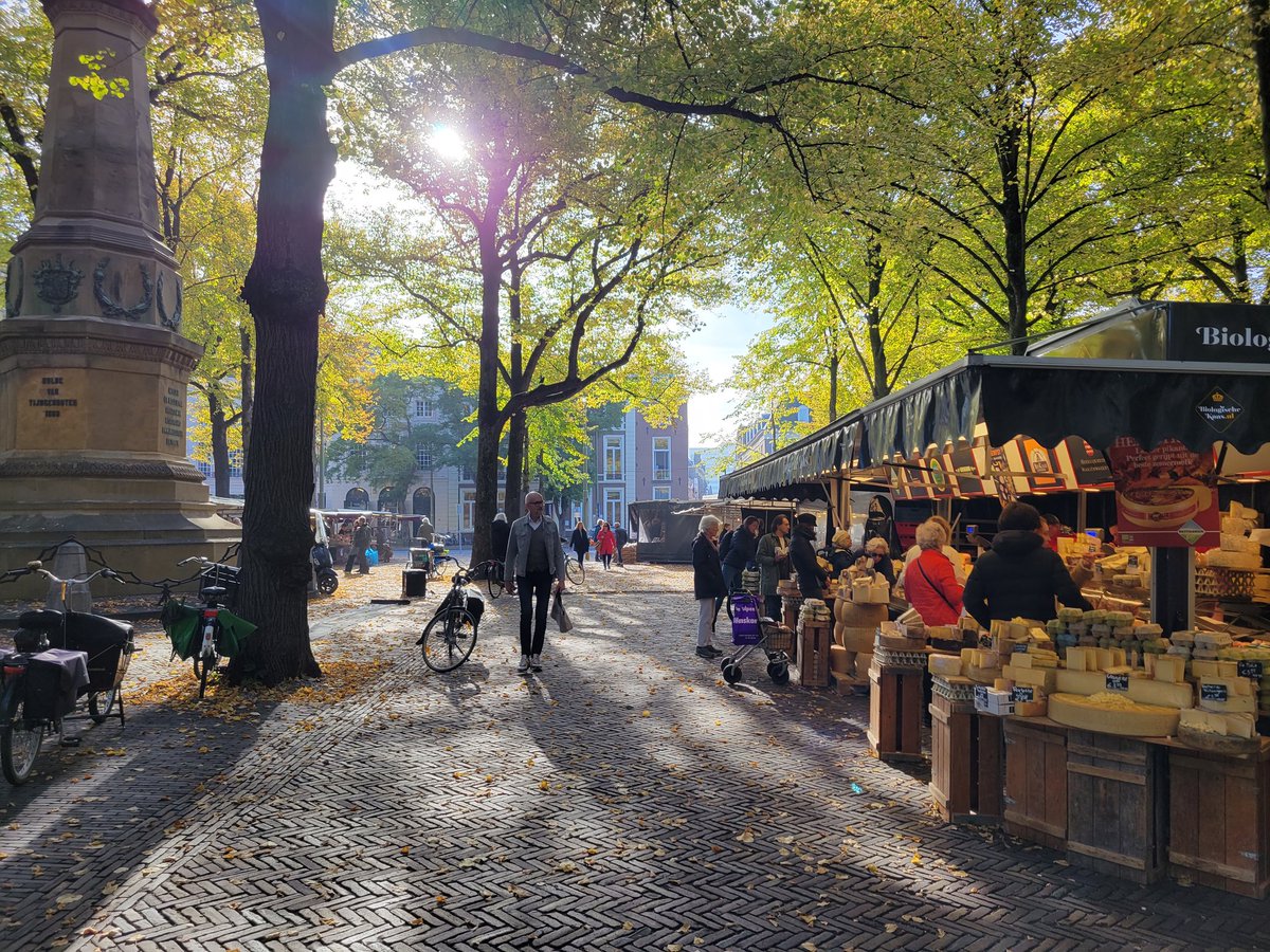 Cobi Frongillo tweet media