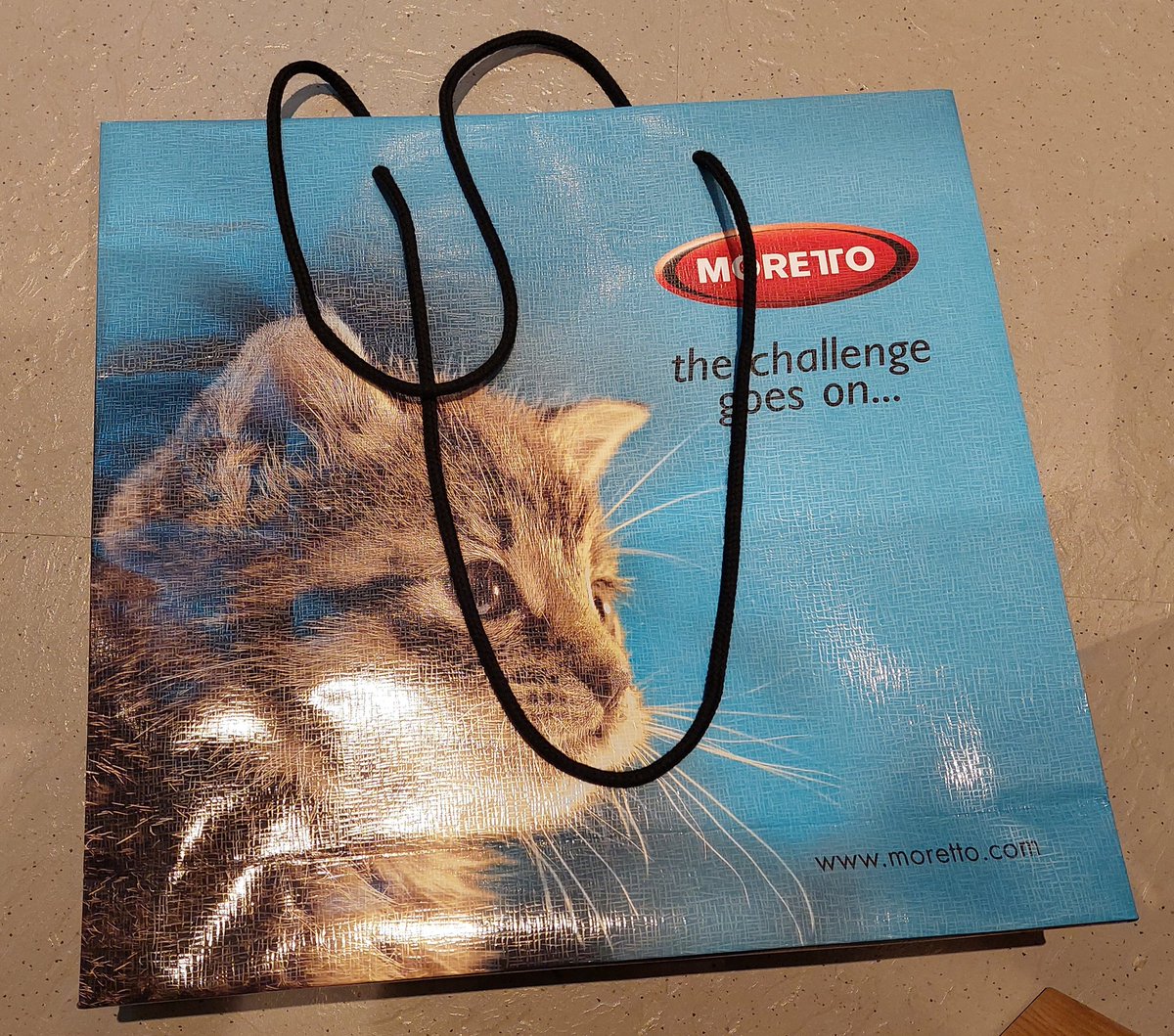 Katja Loos tweet media