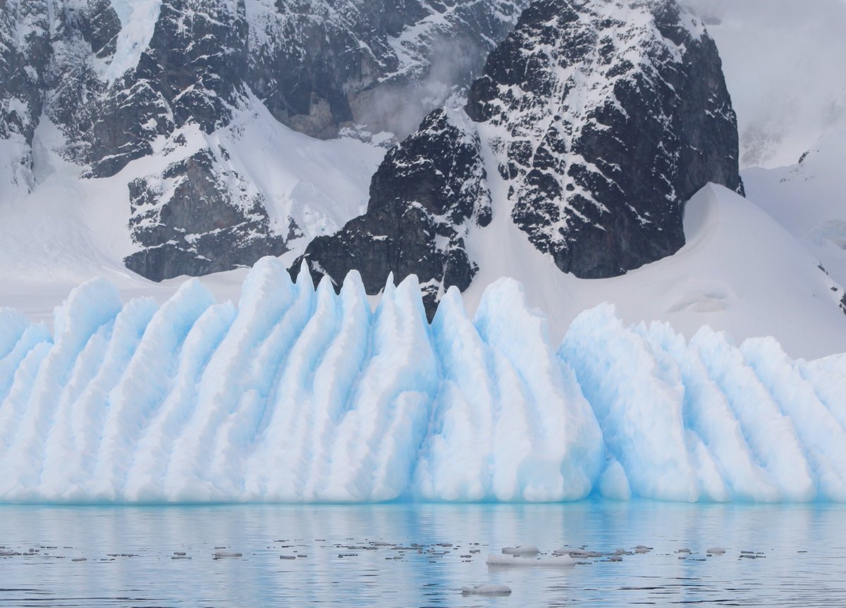 OceanwideExp's tweet photo. Christiaan Luteijn is not only a great #expeditionguide, he's also a superb photographer. Here are some of our #Antarctica favorites. https://t.co/AyJs4NYFeT