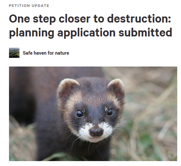 soflag4's tweet photo. PETITION UPDATE - please share!
We need as many sigs as possible to show @MSDCnews  that this application is unwanted and we know that it will cause terrible environmental harm...
https://t.co/f9SyxeeTMx
#wildlifematters #burgesshill #bluecampaign #choosenature #lastchancetosave https://t.co/gNM3j1KhYB