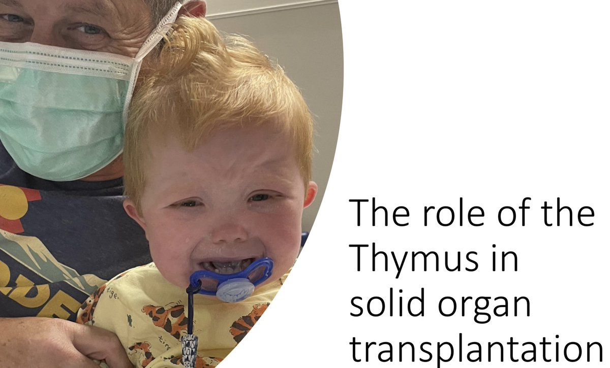 LynnieCorrell's tweet photo. Even though I’m now fully into @PediAnesthesia, my favorite organ will always be the one i fell in love with during @UofUHealth grad school at @huntsmancancer. So great to see a bright light shone on the thymus at #SPANOLA2022! Wonderful talk Dr. Ames! #ANES2022 https://t.co/EJ3xenhSBf