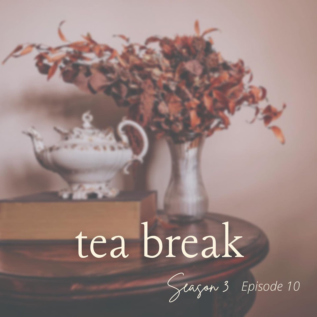 And that’s a wrap on season three! Pour yourself a cup of tea and join us for a chat about what we’re working on, our book recommendations and ideas for season four! #writingpodcast #theteagrannies #WritingCommmunity