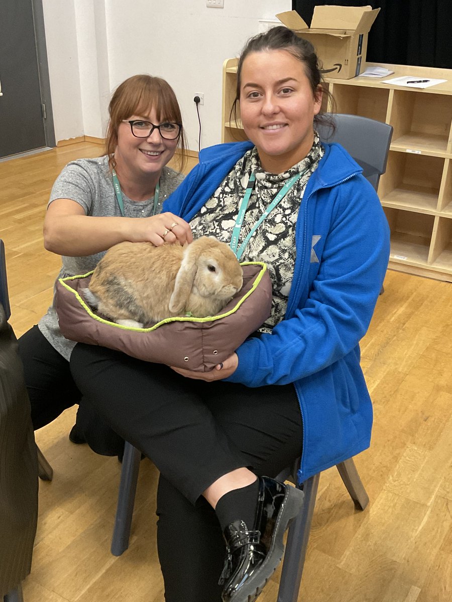 Kelvin Hall School tweet media