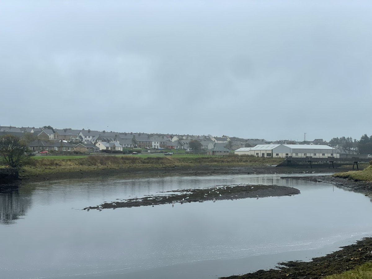 We are on another fieldtrip in Thurso. After Rach driving 4 and a half hours through thick fog we have arrived safely and enjoying a small walk to stretch the legs. Weather is blue skies and sunshine🤩 <a href="/ATBrasier/">Alex Brasier</a> is it home time yet?