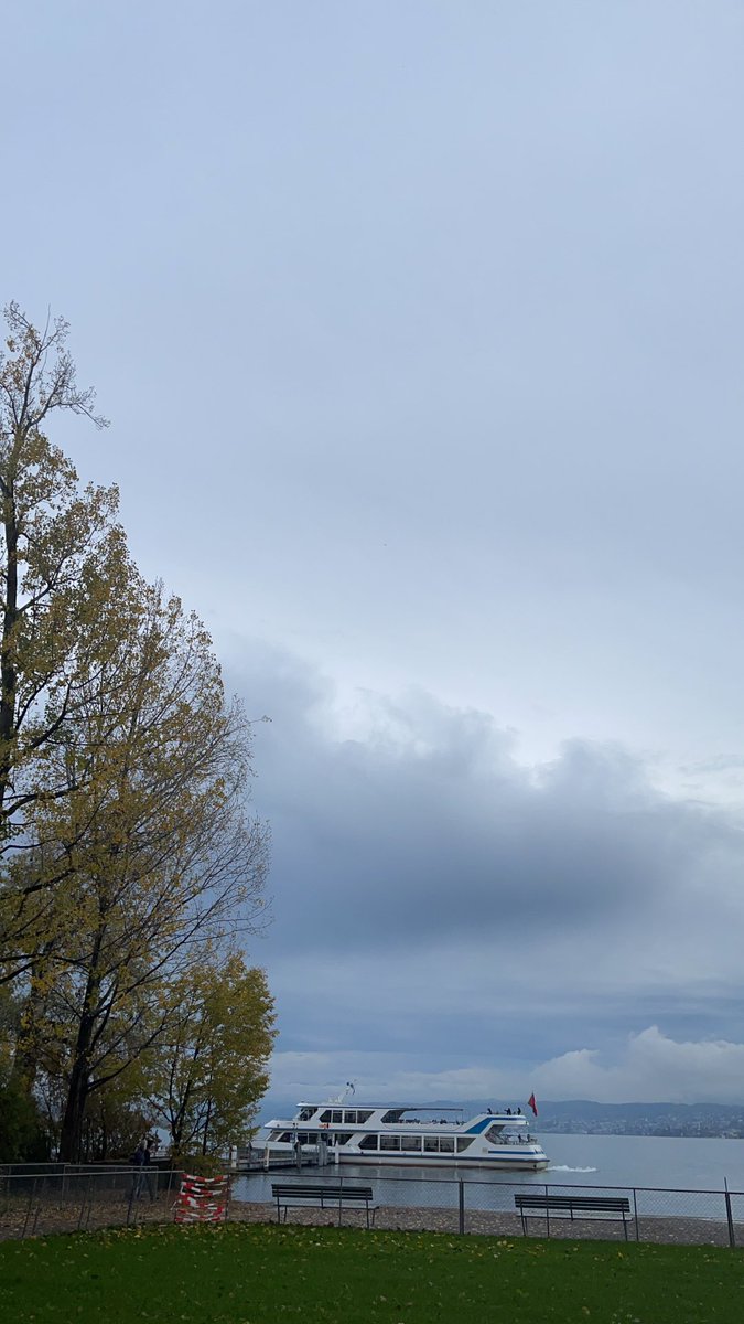 Chimgee Janjin (@cjanjin) on Twitter photo 