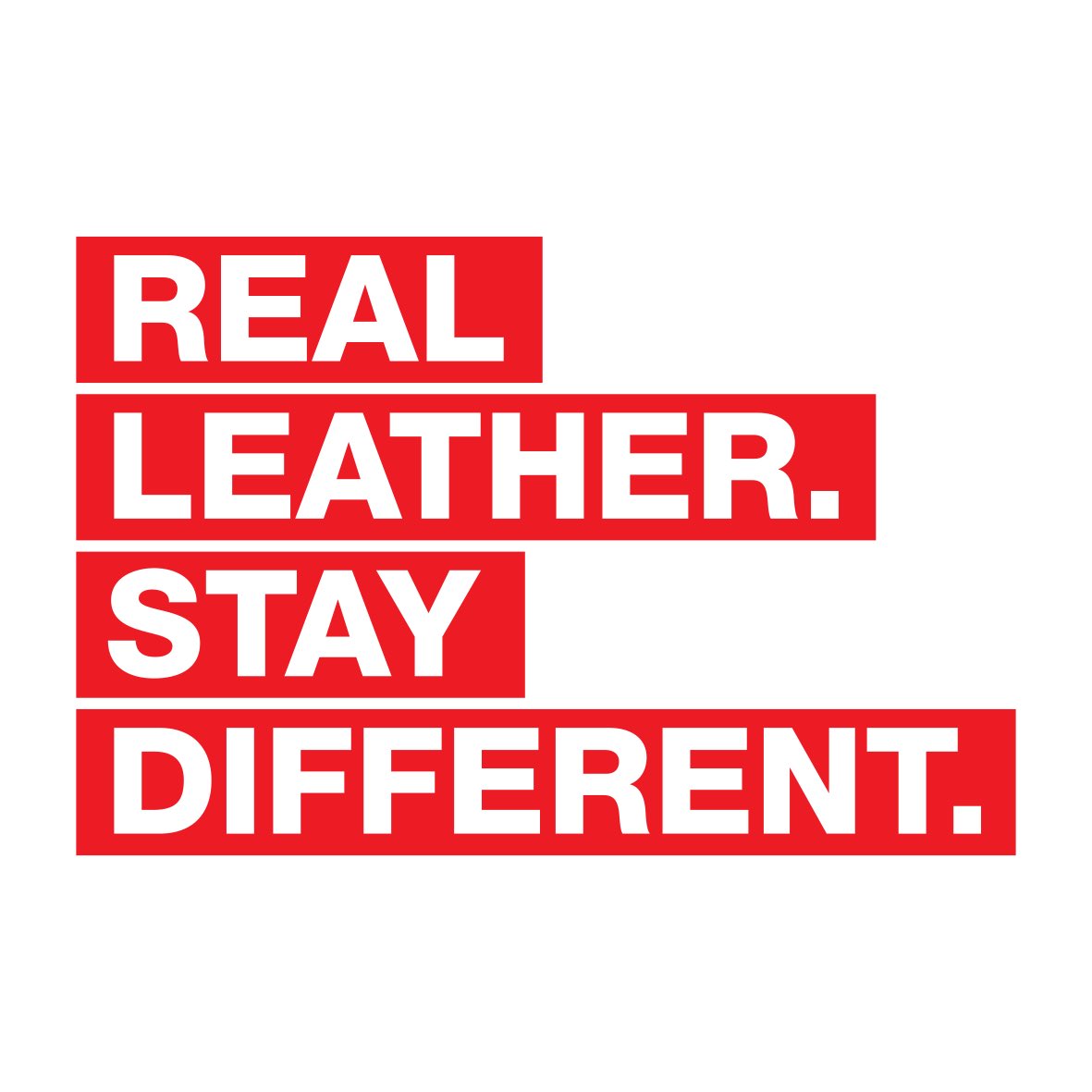 SLeatherF's tweet photo. Leather’s impact on the environment: Good or bad? And is it that simple?
 Here to provide some balance in the ongoing debate about the use of our land, fast fashion, and our future – Rewind is a new documentary series that sets out to bust some myths and ask some questions. https://t.co/mhM7JjAC0p