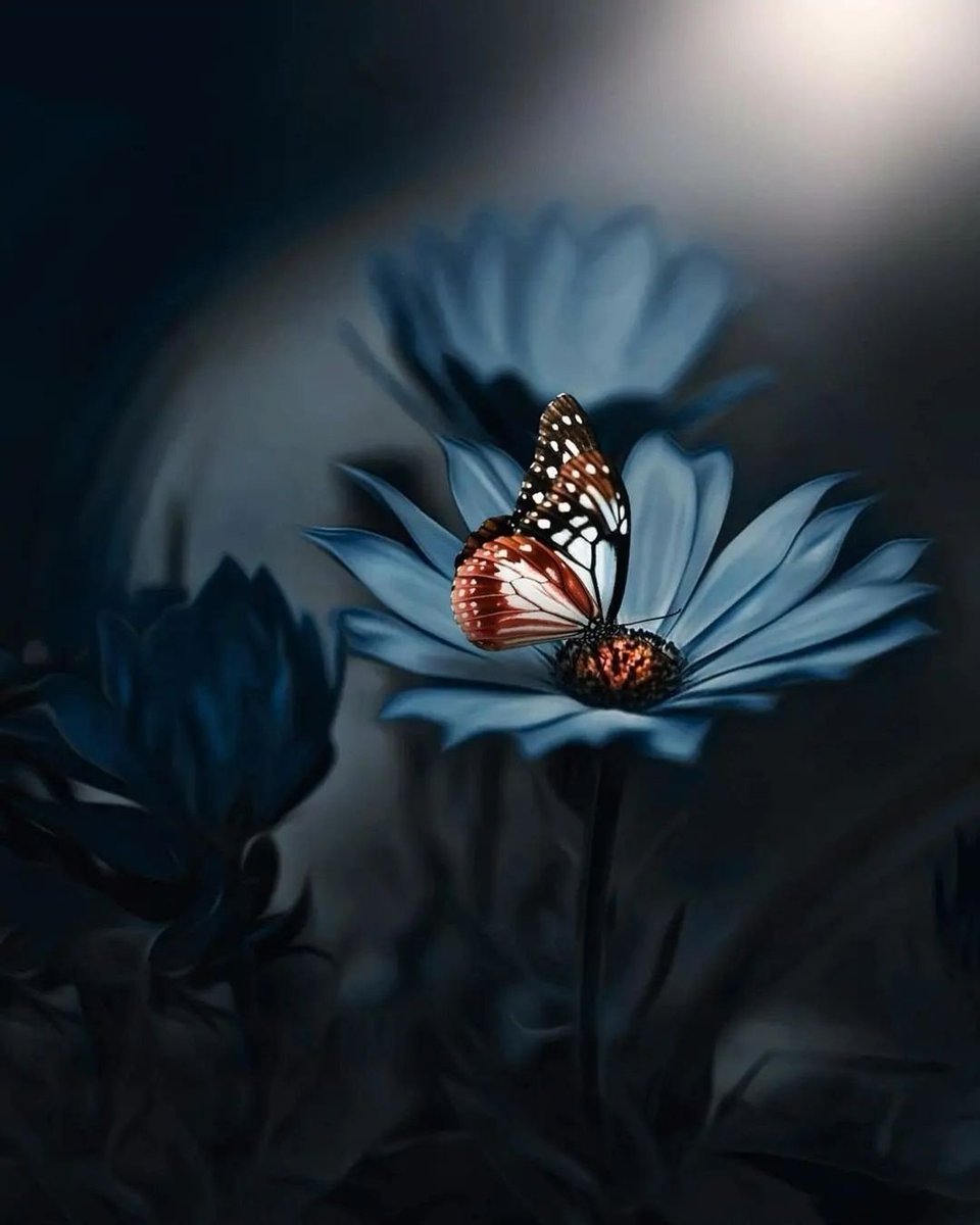 deepsoulnature's tweet image. 