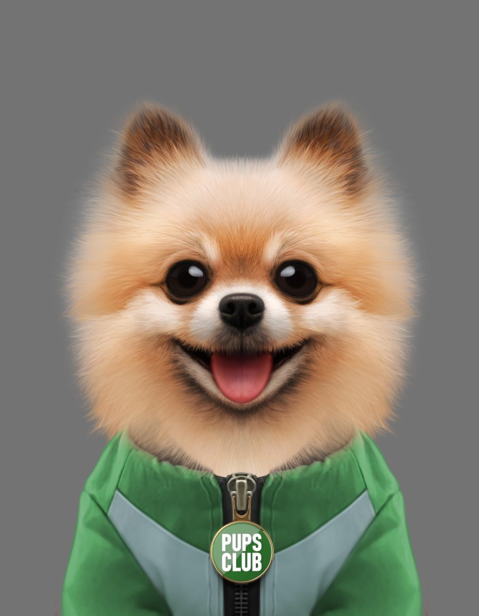 pupsclub's tweet photo. 🐶Pomeranian, AKA, The Ultimate Wingman
😎Personality Trait: I can YIP the national anthem. Want to hear?
👀I am known for: Being the dog you never thought you wanted. Once you've had me for 6 months, you'll want to adopt my brothers and sisters. https://t.co/lyVCwVIiN8