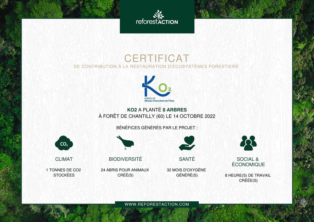 keolisoise's tweet photo. 🌳12 arbres complémentaires ont été plantés dans la forêt de Chantilly🌳
#keolisoise #KO2 #duc #LaNavette #Flexobus #réseauOise #régionhautsdefrance #environnement https://t.co/QO4GHPR2dS