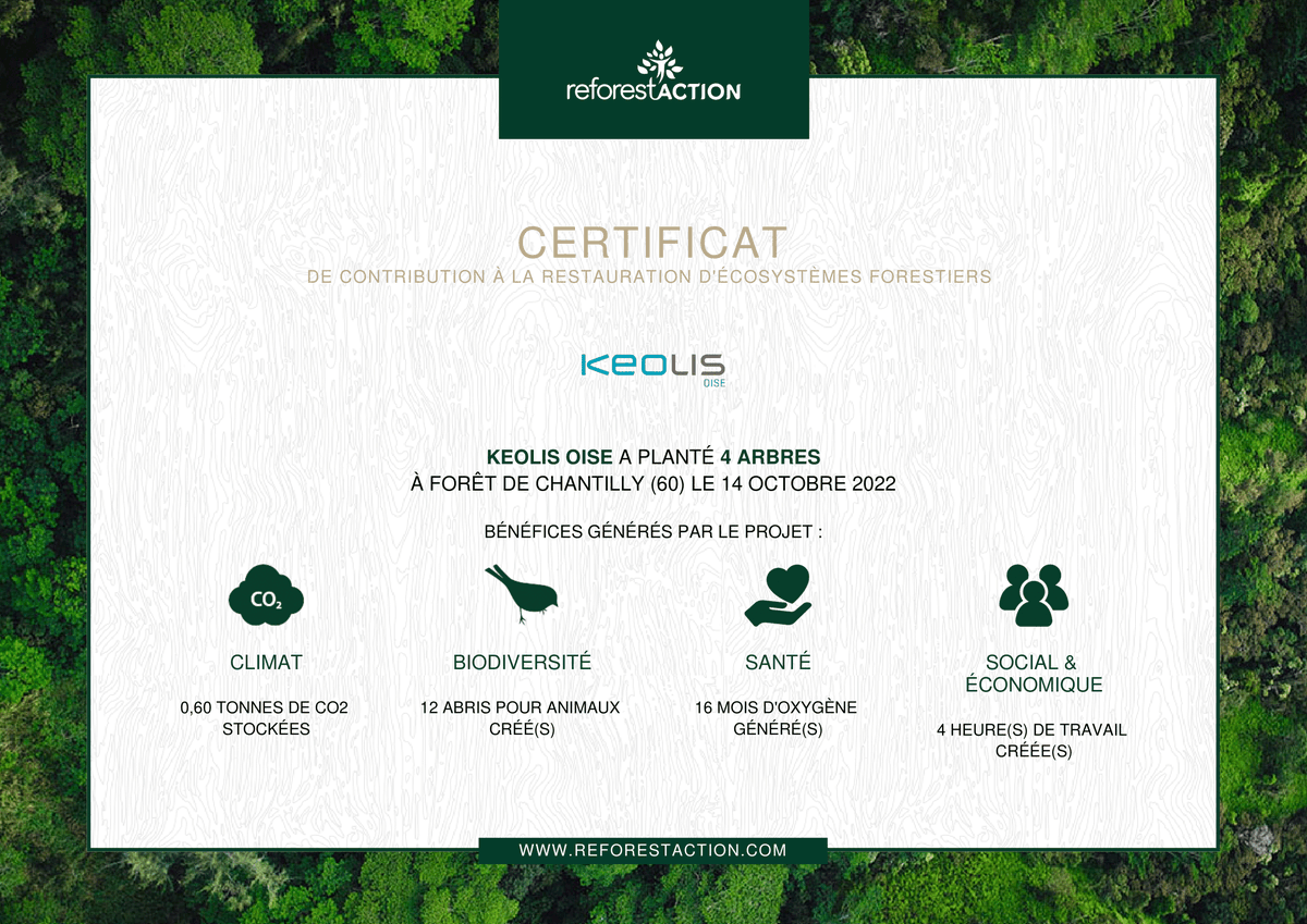 keolisoise's tweet photo. 🌳12 arbres complémentaires ont été plantés dans la forêt de Chantilly🌳
#keolisoise #KO2 #duc #LaNavette #Flexobus #réseauOise #régionhautsdefrance #environnement https://t.co/QO4GHPR2dS