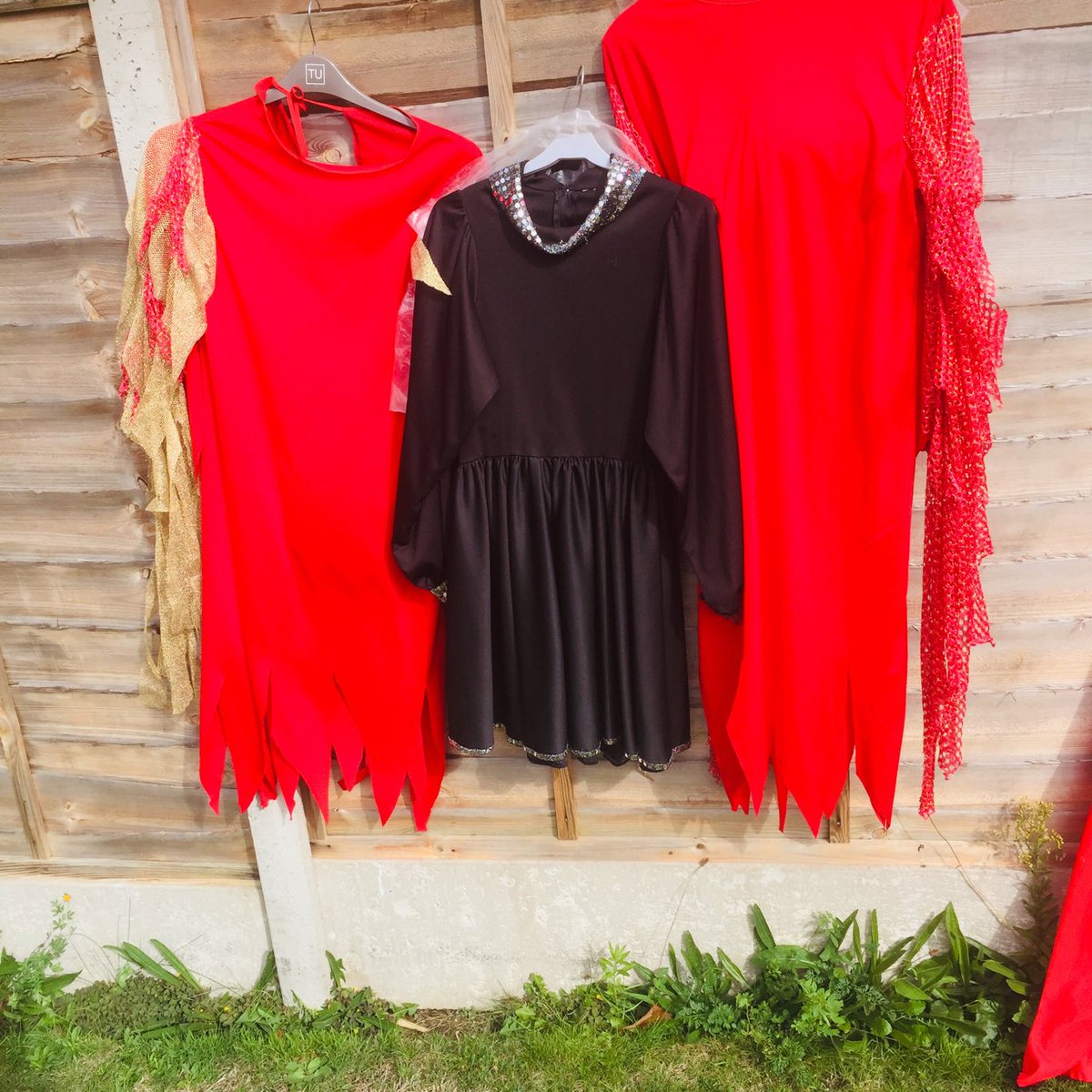 Showcase tweet media