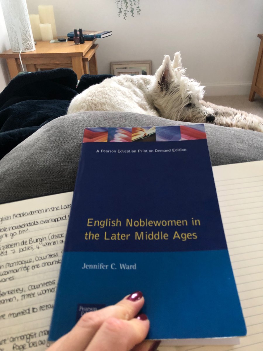 Study leave with my favourite #academicdog