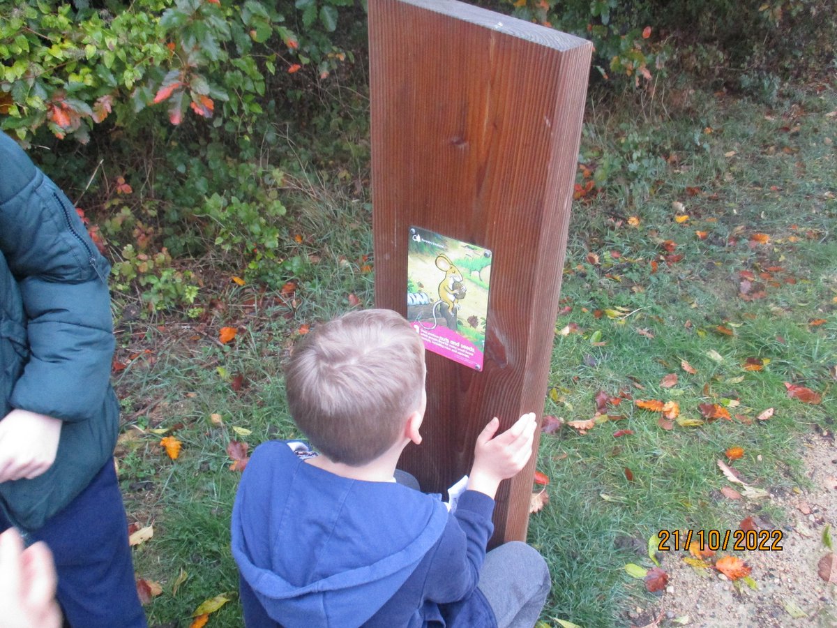 AcademyBarnes's tweet photo. Our Rashford class went to Fineshade Wood today and completed the Gruffalo orienteering course. We used the map to navigate, read the information on the posts and answered the questions. We met lots of lovely people on our way! #RBA22 #ThisisAP https://t.co/1phqbN7jTK