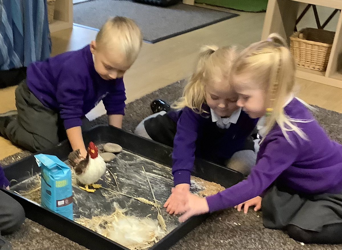 SkegInfantAcad's tweet photo. Our special story this week at Skylarks was ‘The Little Red Hen.’ We used our #farminabox to explore grain, wheat and flour and baked our own bread. #countrytrust #GATearlyyears #SkylarksNursery #Littleredhen https://t.co/RhIGEqwiIc