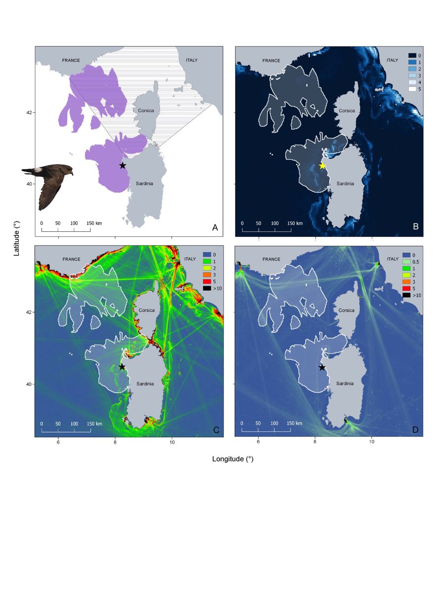 Federico De Pascalis (@fdepa1) on Twitter photo The expansion of #marine #offshore activities calls for scientific data easily available to decision makers. We made the Important Conservation Areas for sardinian #stormpetrels downloadable in this article out now in <a href="/MarineOrno/">Marine Ornithology now @marineorno.bsky.social</a> marineornithology.org/content/get.cg… @LipuOnlus <a href="/BirdLifeMarine/">BirdLife Marine</a> The expansion of #marine #offshore activities calls for scientific data easily available to decision makers. We made the Important Conservation Areas for sardinian #stormpetrels downloadable in this article out now in <a href="/MarineOrno/">Marine Ornithology now @marineorno.bsky.social</a> marineornithology.org/content/get.cg… @LipuOnlus <a href="/BirdLifeMarine/">BirdLife Marine</a>