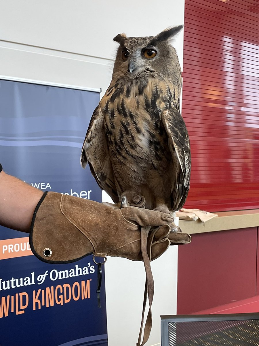 Thank you <a href="/WildKingdom/">Mutual of Omaha's Wild Kingdom</a> for bringing these special guests for a visit #ruraledforum