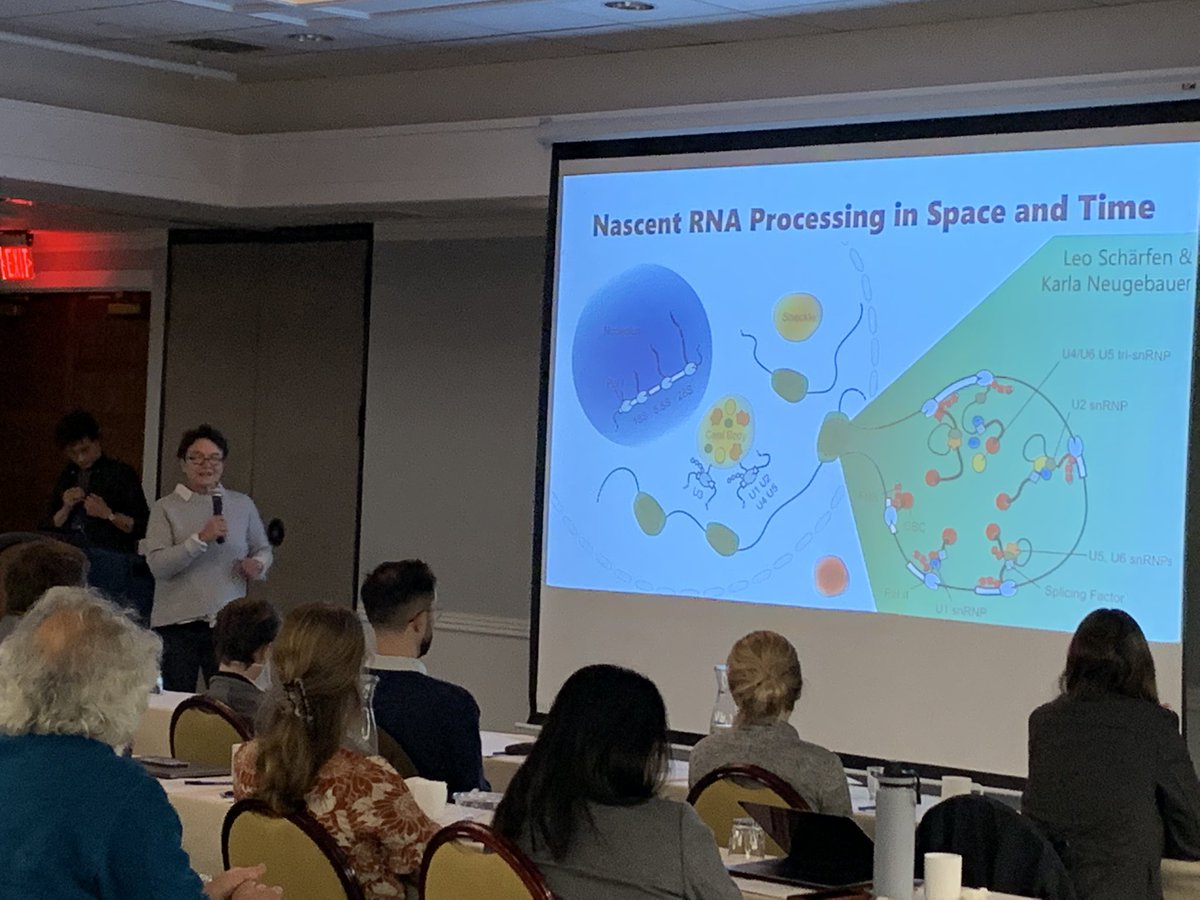 Yale MB&B tweet media