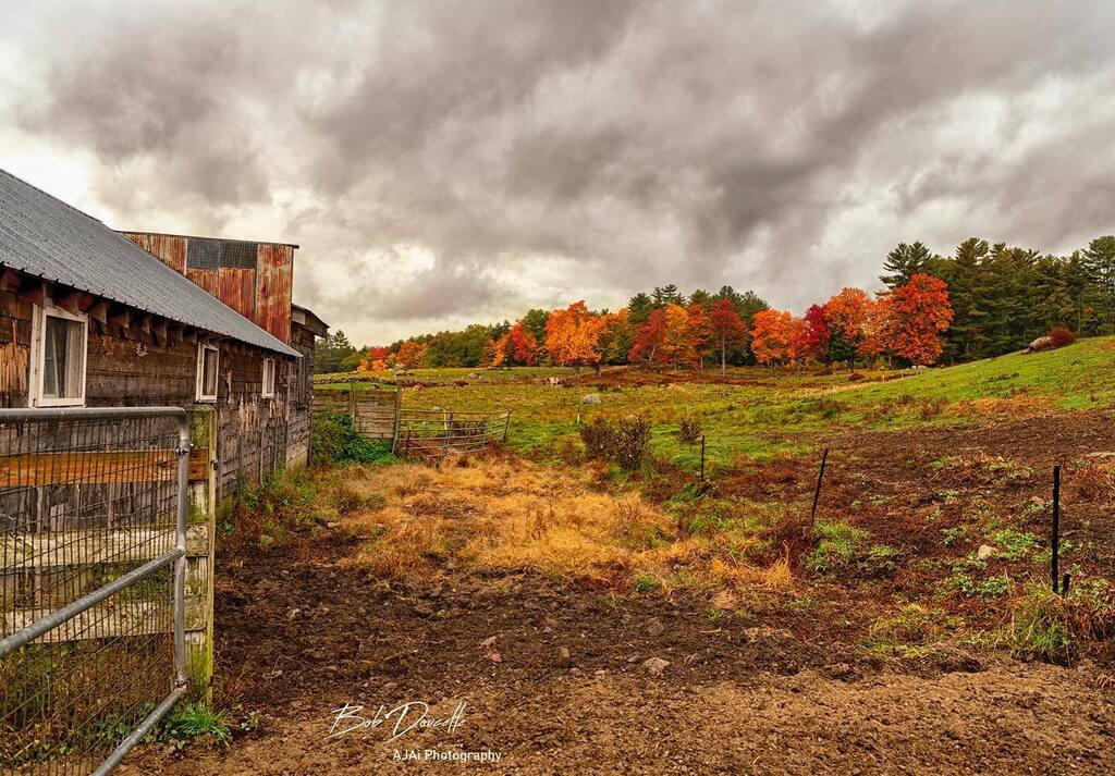 Farmland and foliage in Tamworth, New Hampshire.
#country_features#renegade_rural#explore_countryside_#raw_community#trb_rural#backroad_visions#newenglandphotography#newenglandpictures#newengland_igers#mynewengland#newenglandtraveljournal#naturalnewengland#backroadsofnewengl…