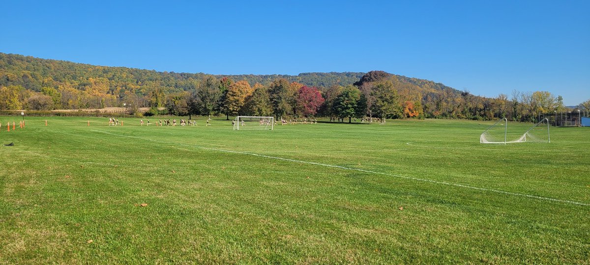bobloch's tweet photo. It's a beautiful day for running at Lehigh University. Brian DiCola takes the individual title, and the Hatters boys team wins the overall title at today's league Cross Country Meet. @HH_Schools https://t.co/p7gXwL1Ugx