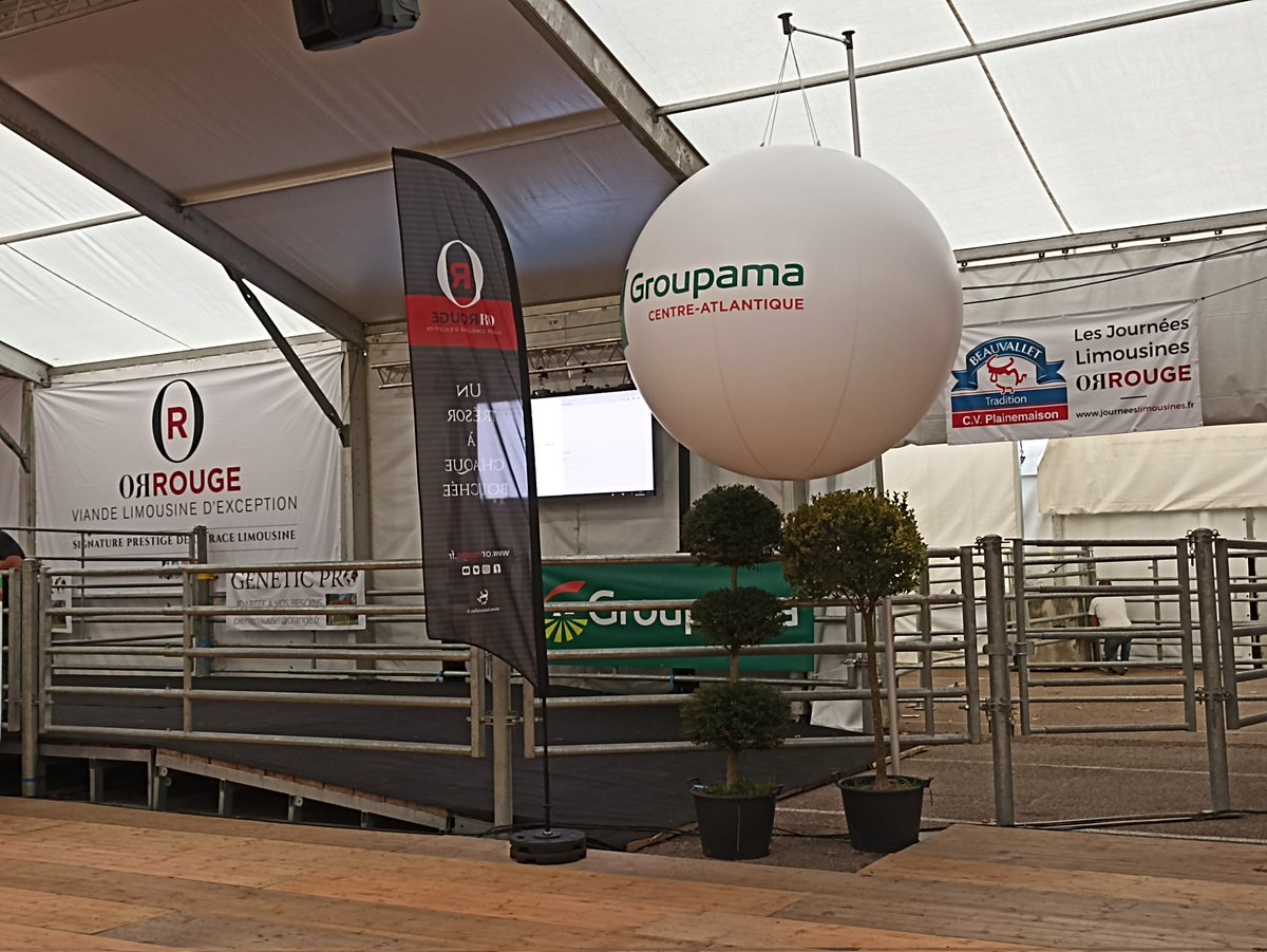 cdebrem's tweet image. Nous sommes prêts pour vous accueillir sur notre stand des Journées Limousines place du Champ de Juillet à #Limoges