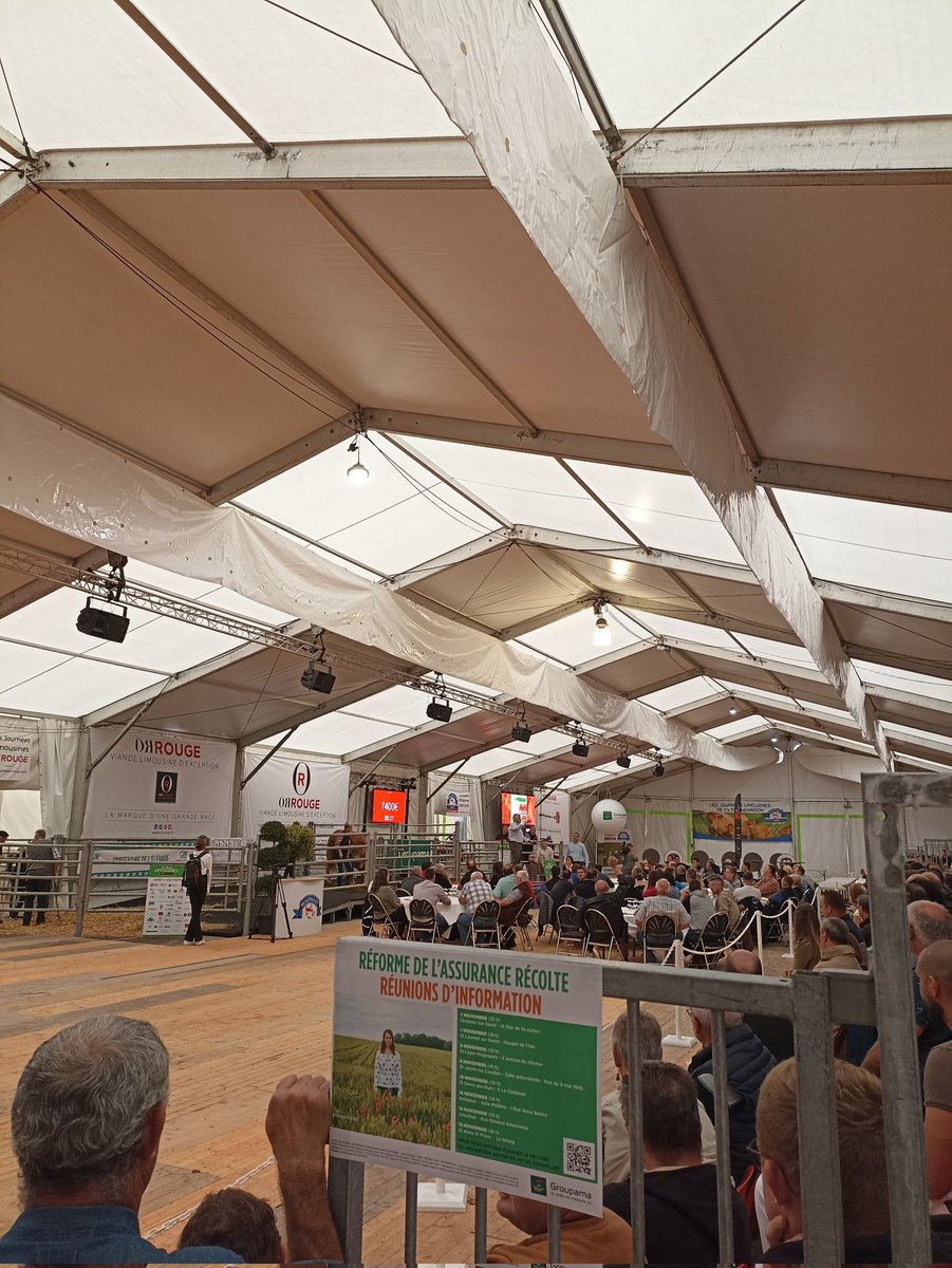 cdebrem's tweet image. Nous sommes prêts pour vous accueillir sur notre stand des Journées Limousines place du Champ de Juillet à #Limoges