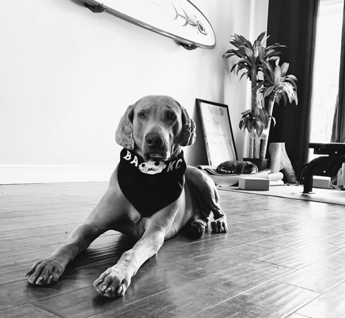 Gerry🍌 tweet media