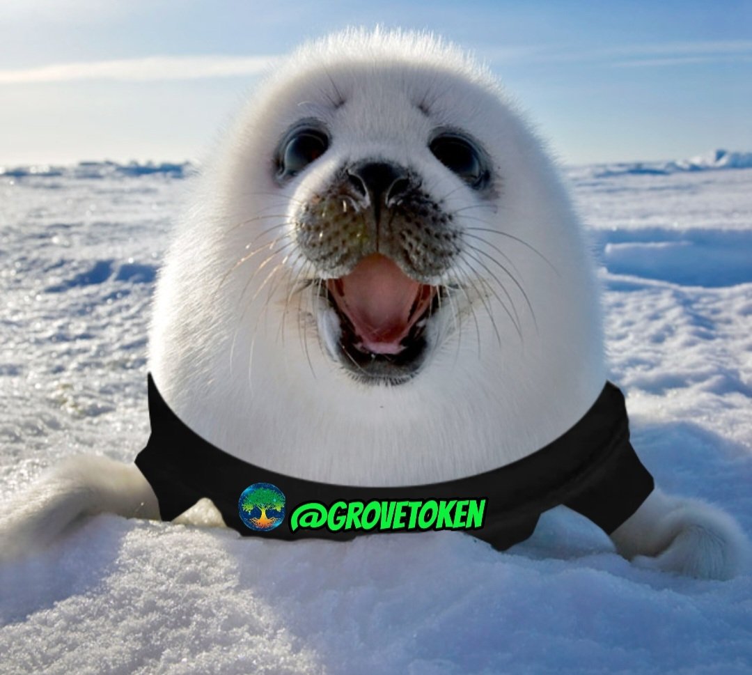 If you are #Holder the #GroveGreenArmy 💚
Retweet this Image ...
I Want know if you are True Believer the <a href="/GroveToken/">GroveCoin Official</a> 💚🌳
