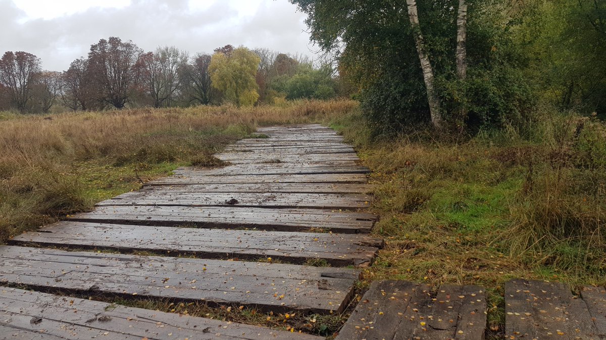 When the weather turns like this you can end up in real trouble working in a floodplain wetland. Thankfully this timber trackway keeps the ground safe from the diggers (and vice versa!)