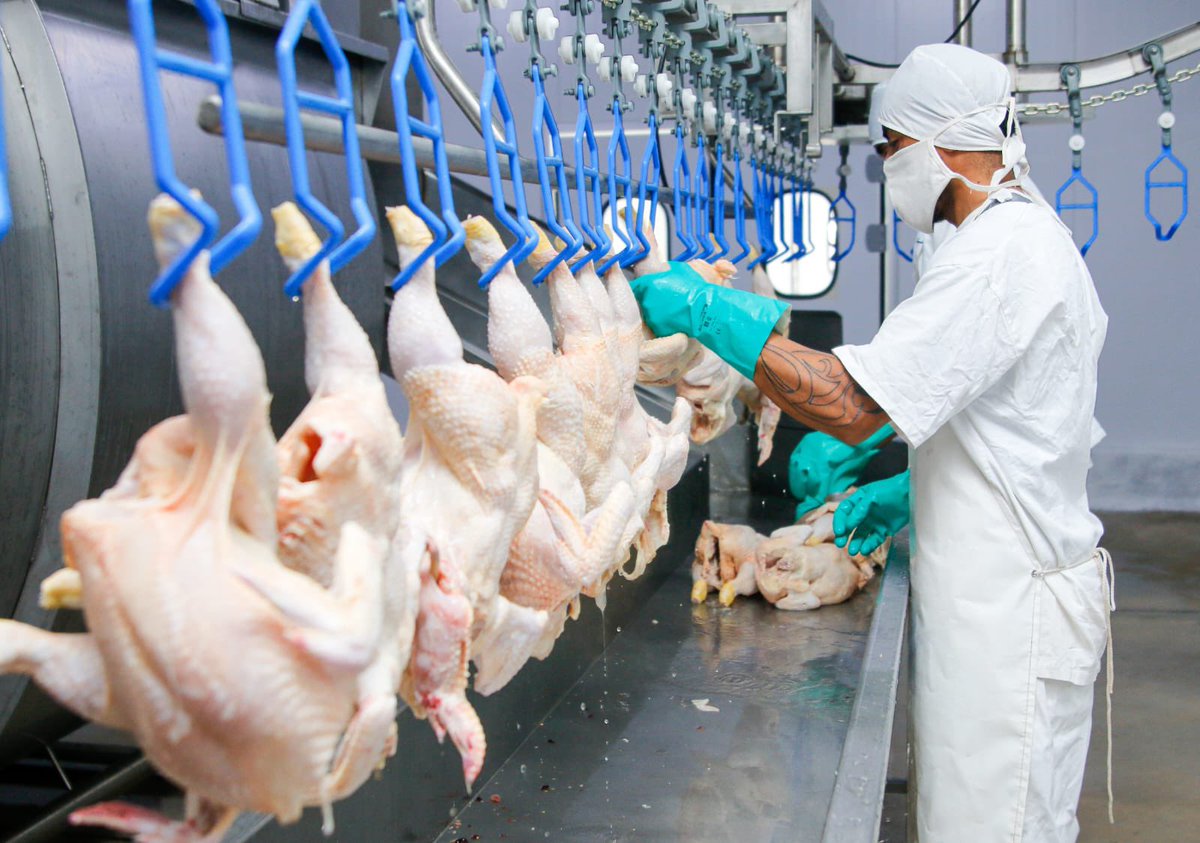 Ricardo Quintela tweet media