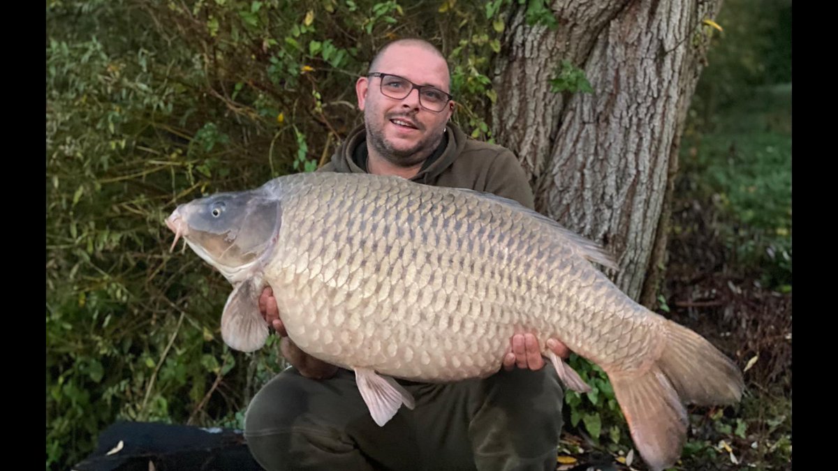 Galaxy Baits tweet media