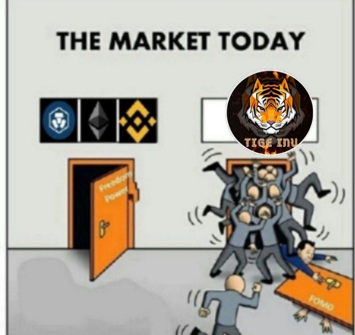 Eko31313131's tweet photo. @cryptogems555 #tigeinu https://t.co/wgJje6ugak
