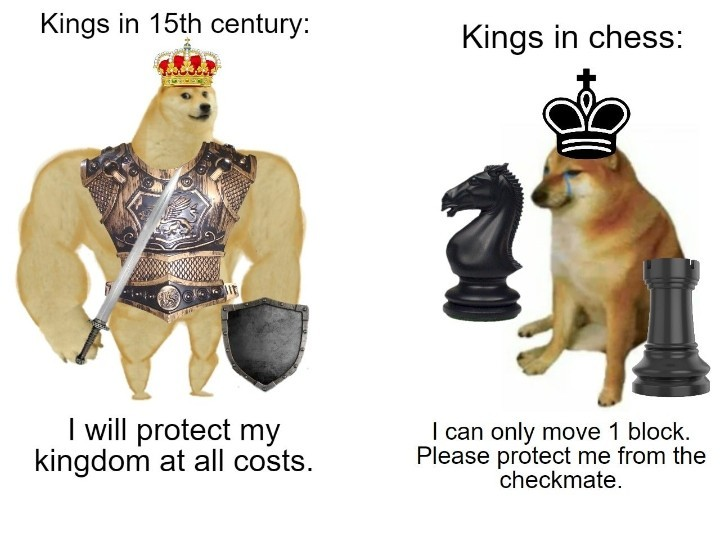 DonkeyChess's tweet photo. Long live the king! #ChessChamps https://t.co/3yGMVlvS3k
