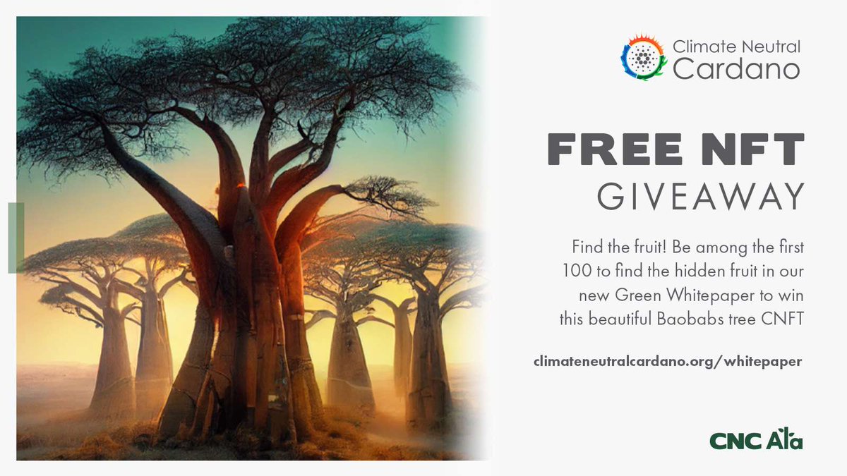 CNCardano's tweet photo. Have you already read our Green #Whitepaper?

Did you know we have hidden some “Easter Eggs”?🥚

We are giving away 100 #CNFTs of these beautiful Baobabs trees.

To enter: 🥳🏆
1) Retweet this tweet
2) Follow @CNCardano
3) Let us know how many Eggs you have found!

#Giveaway https://t.co/2Di410l63q