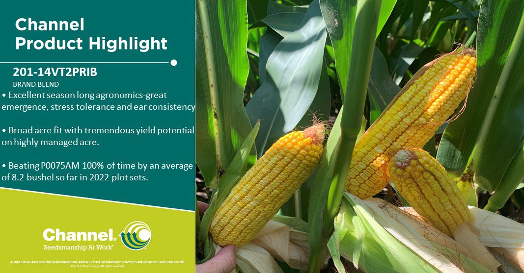 Andrew J. Sikora tweet media