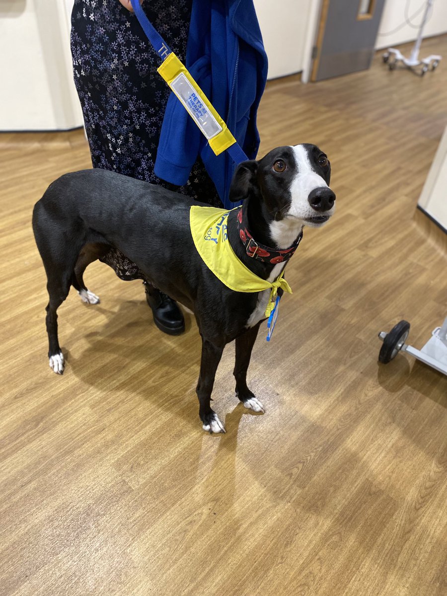 CF inpatient unit -Pearce ward - MFT tweet media