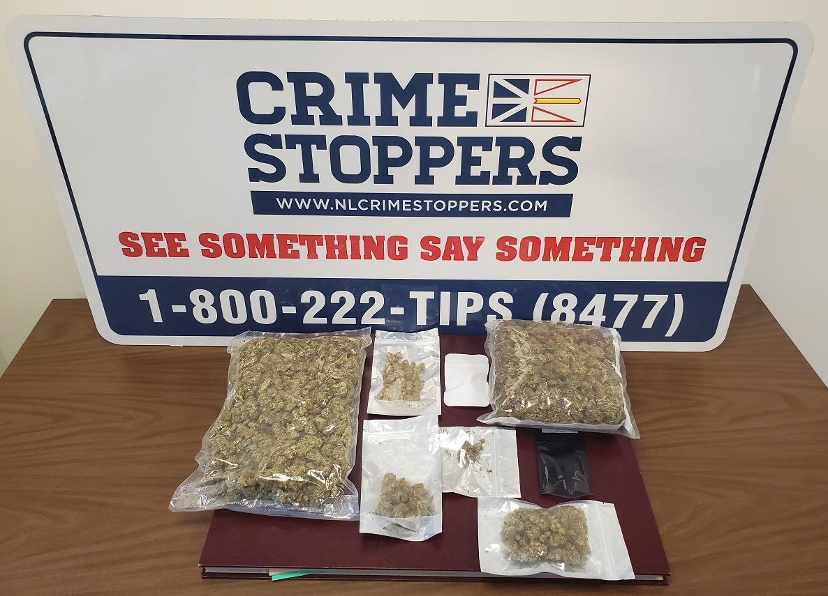 RCMPNL's tweet photo. Does this belong to you? Lewisporte RCMP received a report of property found on October 15, 2022.  More than 850 grams (1.9 pounds) of illicit cannabis was located in a ditch off Route 340 near Lewisporte Junction.  Officers are waiting to see if the owner will make claim… https://t.co/G6aLJQwN2T