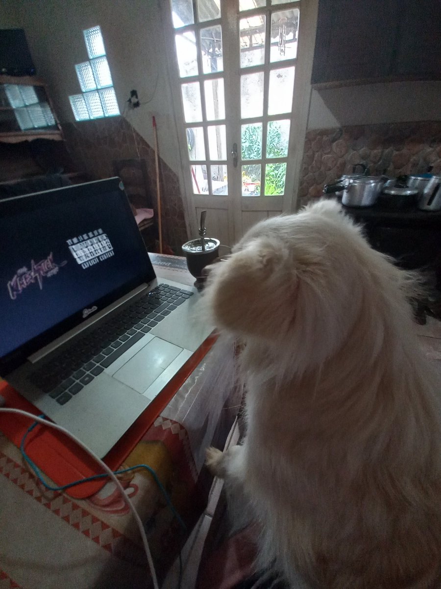 darkaepstick's tweet photo. Companherinha de maratona os videos da @kaepstick além de acompanha nos videos ela me protege denoite quando tenho que tomar água kkkkkkk https://t.co/LX4ZYOlYty