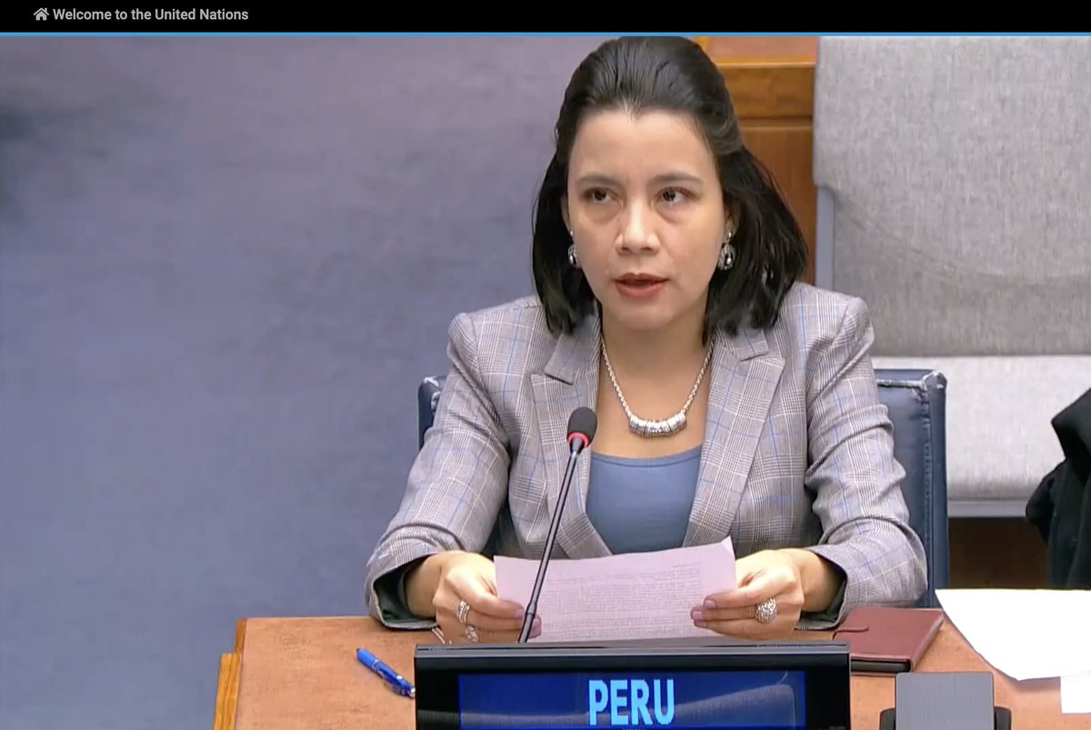 👏#Peru condemns the manufacture and use of #clustermunitions by anyone, anywhere, reiterates committment to a #minefreeworld, thanks @CancilleriaPeru for #disarmament collaboration. @CancilleriaPeru #FirstCommittee