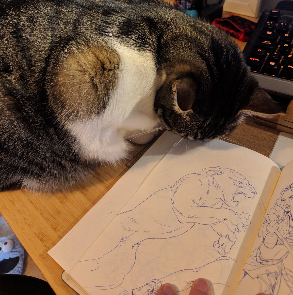 LU_1984_'s tweet photo. "dat me? Hooman" https://t.co/HrQCf6ziql
