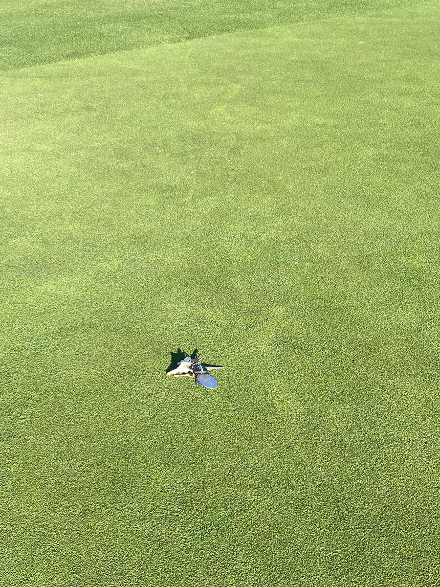 What happened here? You can’t tell because <a href="/ChristianSain/">Christian Sain</a> and his staff repaired terrible gasoline vandalism so well just several weeks before today’s @DECCGolf <a href="/ChampionsTour/">PGA TOUR Champions</a> playoff. Sain is a champion at perfection!