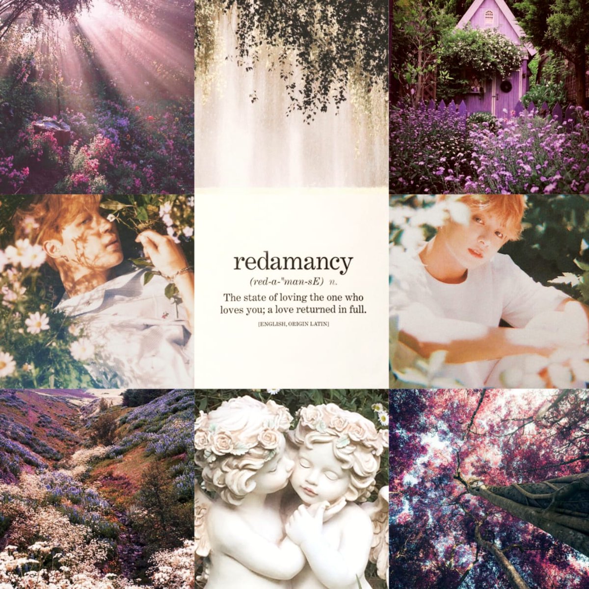 Milo moved to Bluesky | check pinned 📌 tweet media