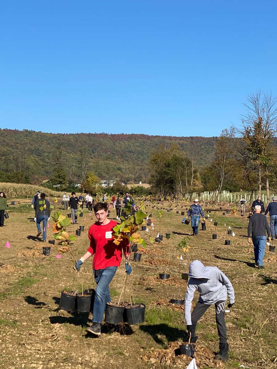 wglenergy's tweet photo. Our WGL Energy and @chesapeakebay volunteers are off to serve! Let the tree placing begin! https://t.co/cNPpgJjNKR