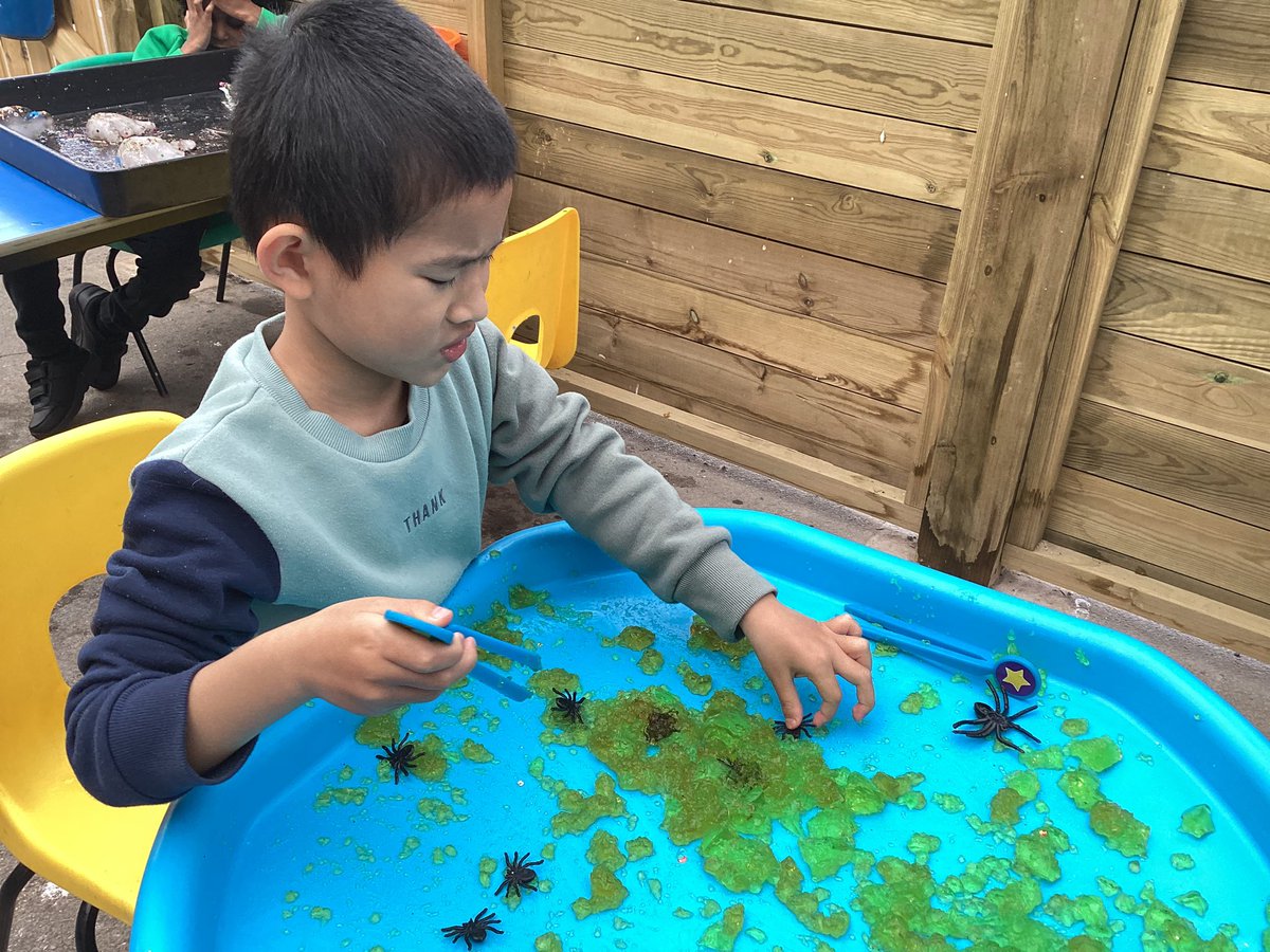 Meadowside.Buttercups tweet media