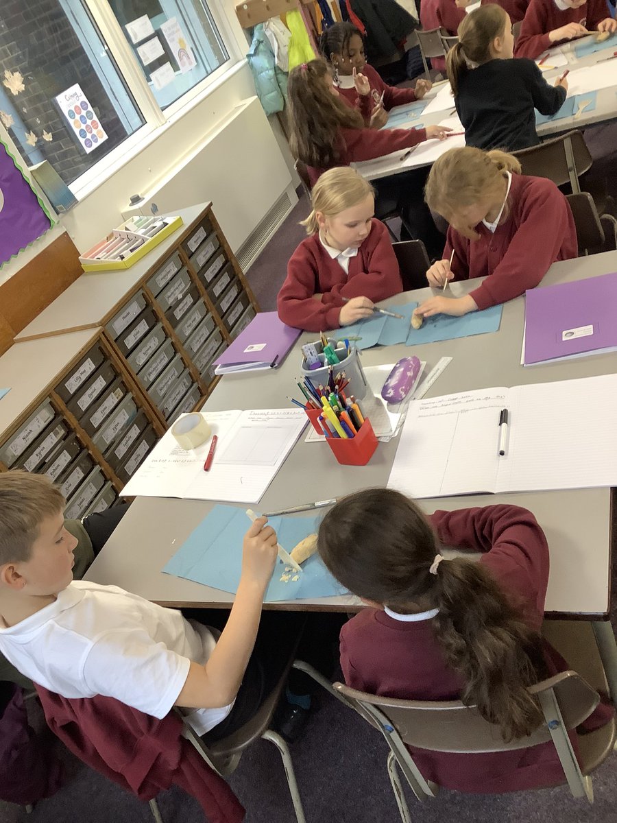 MelthamMoor's tweet photo. Year 4 have been investigating what people in Anglo-Saxon times eat by dissecting their poo (not really!) #MMHistory #MMYear4 https://t.co/cgTKk3Xzwt