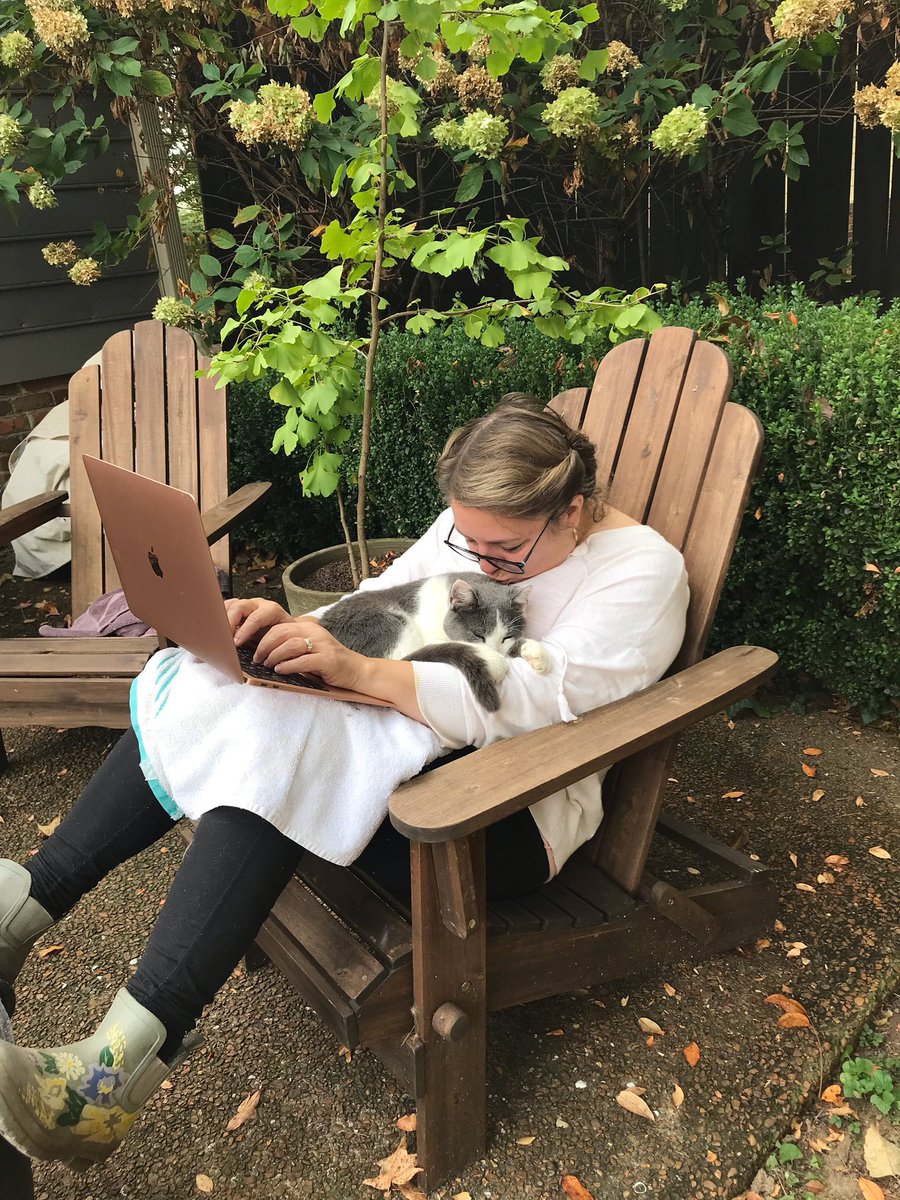 CameronSharonE's tweet photo. So I think it's safe to say this little feral cat I've been caring for is no longer feral. #writercat #writing #CatsOfTwitter #WritingCommunity https://t.co/OsJN0vTtRJ