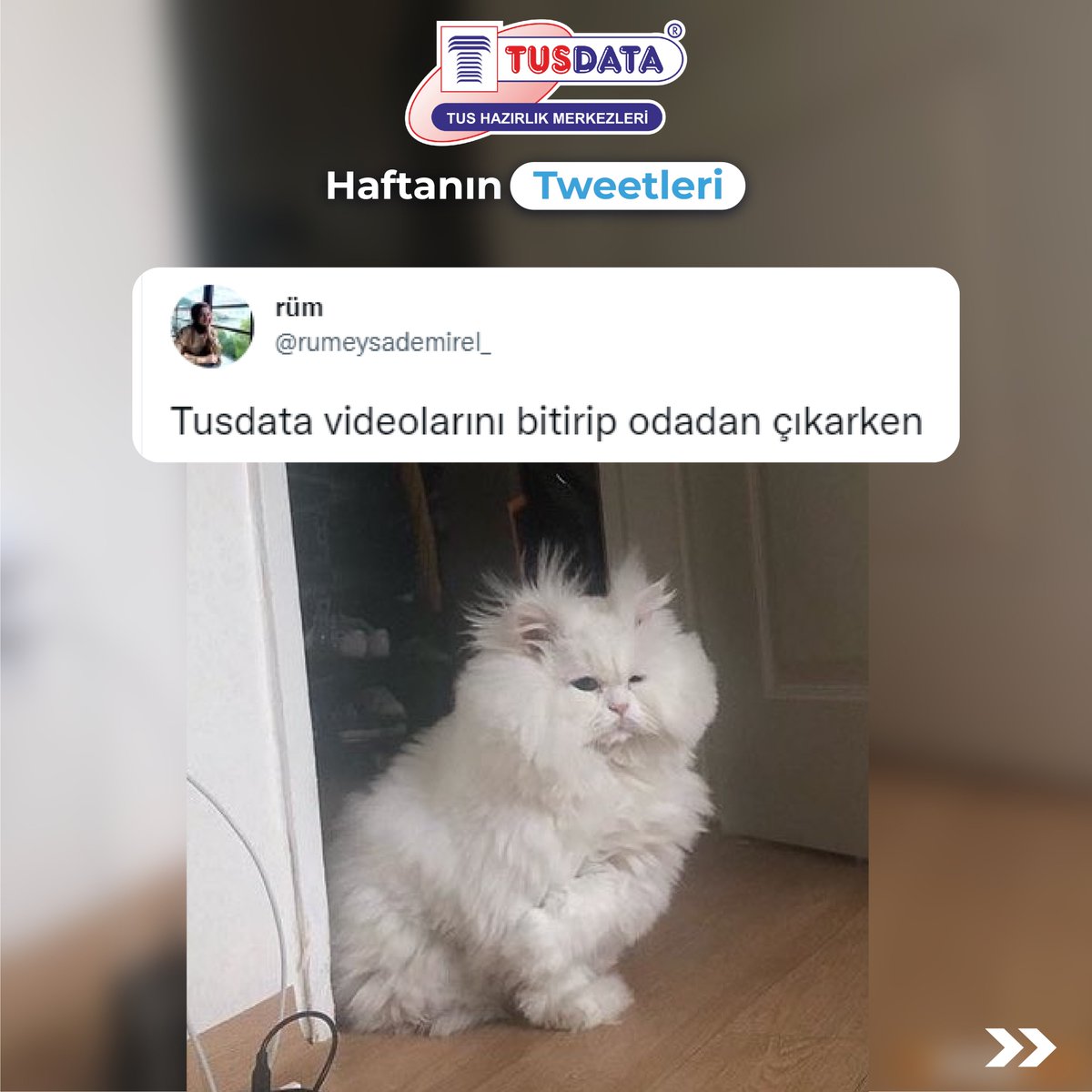 TUSDATA tweet media