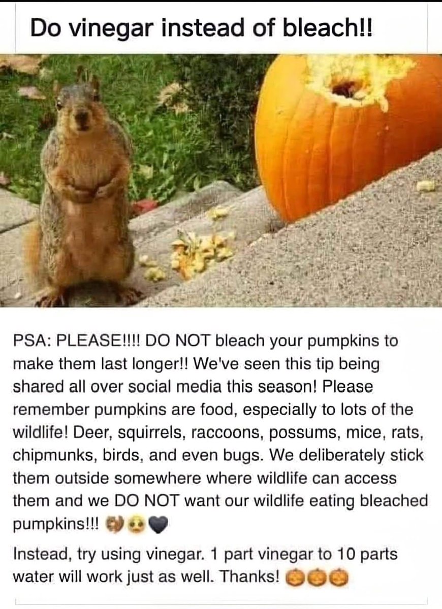 🇺🇦✨Julie Kay✨🇺🇸 tweet media