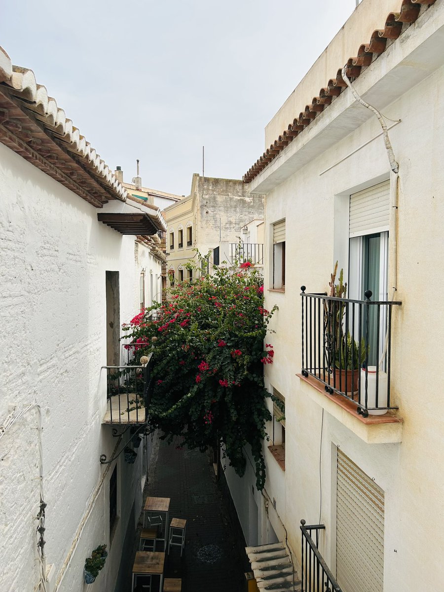 After four years at NPR, I’ve decided to experience new things! I’m spending the next year freelancing and improving my Spanish. I’m based in Granada province, Spain. ❤️